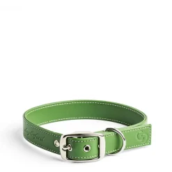 Daylesford Organic Apple Leather Collar Green- Pet Accessories