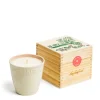 Daylesford Organic Limited Edition Vine Tomato Botanic Candle- Candles